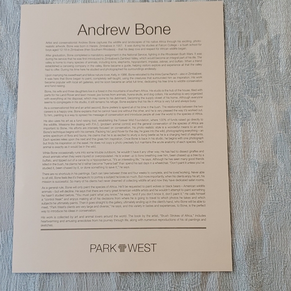 ANDREW BONE, "African Mystique" seriolithograph - Picture 6 of 6